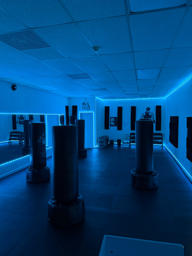 A dark indoor training room with multiple freestanding punching bags under blue LED lighting. Mirrors line one wall, and the room has a tiled ceiling and sound-dampening panels.